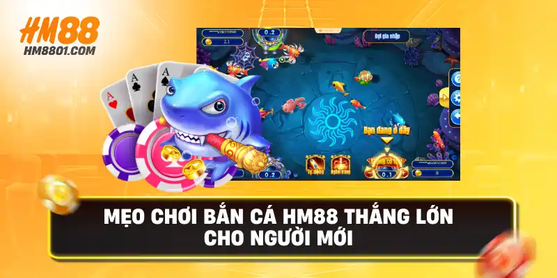 Mẹo chơi bắn cá hm88 thưởng lớn cho người mới