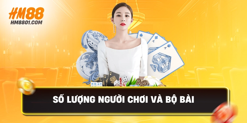 Số liệu người chơi và bộ bài